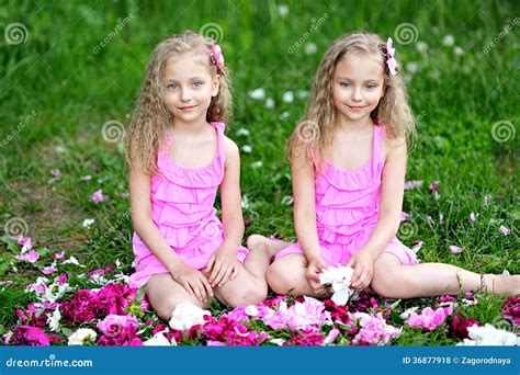 dreamstime photos|Photos et images libres de droits par Dreamstime.
